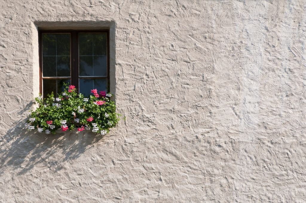 Potted Plant in a Window Surrounded by Stucco Exteriors